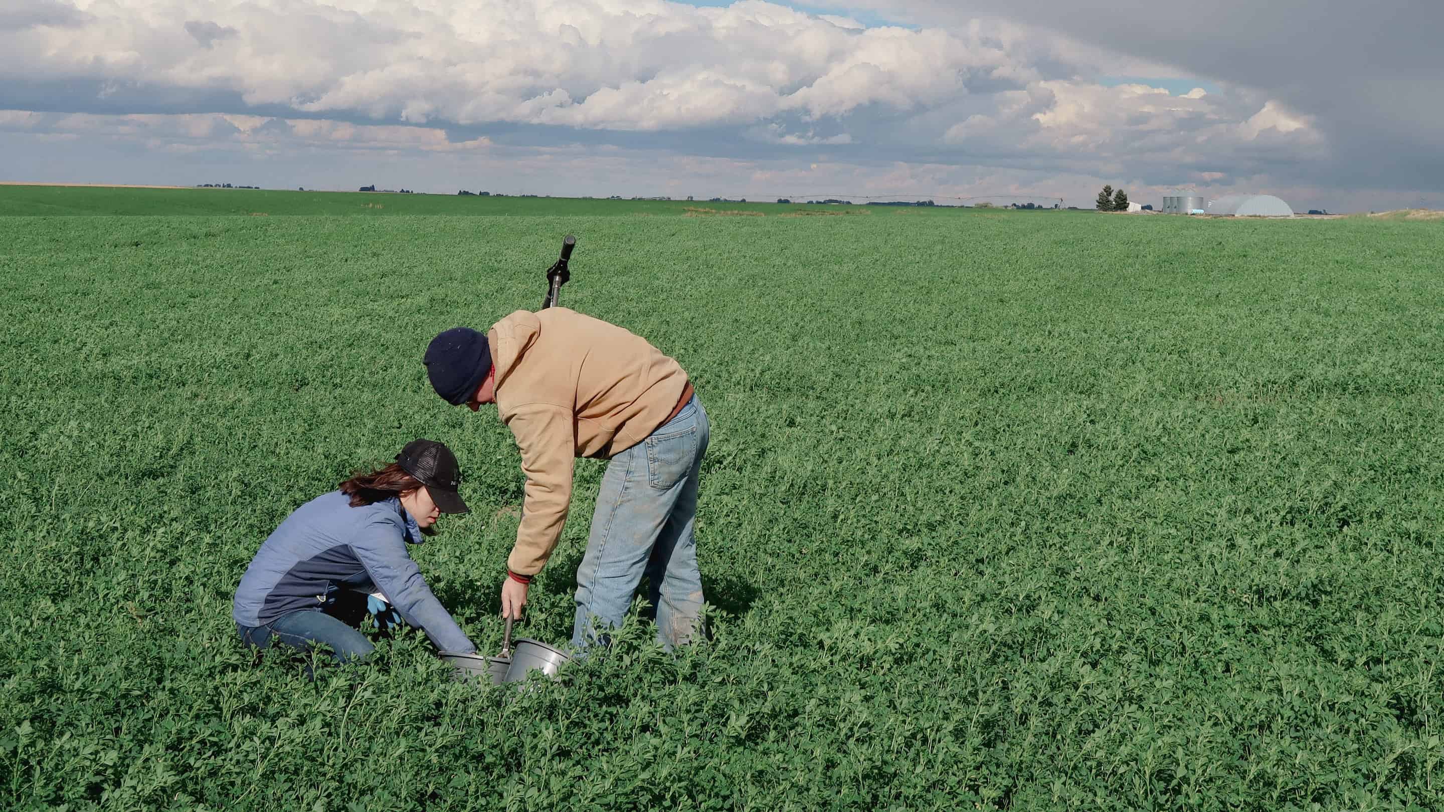 Soil Fertility and Zero Till – Summit 2023