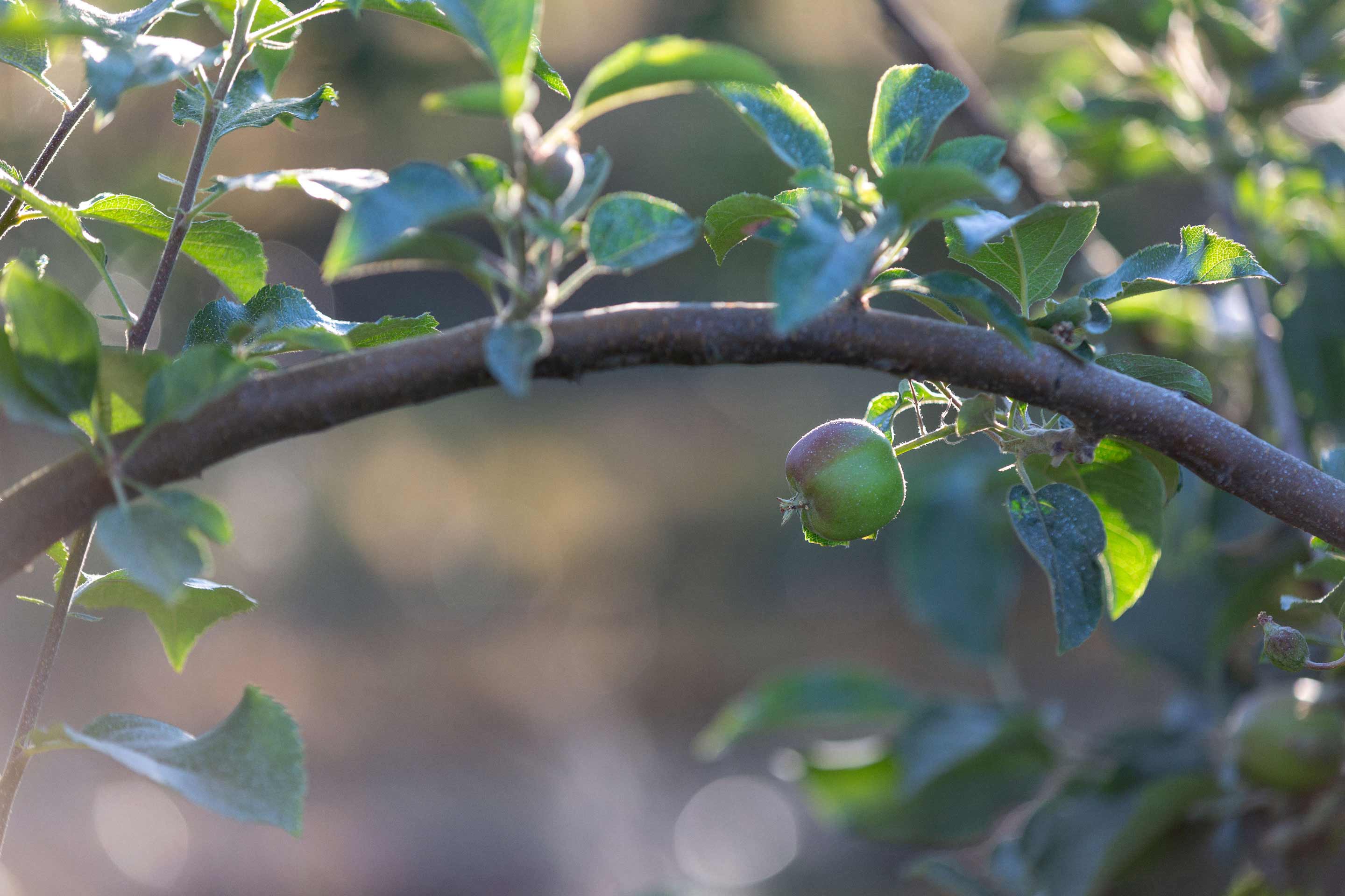 Land Use Optimization