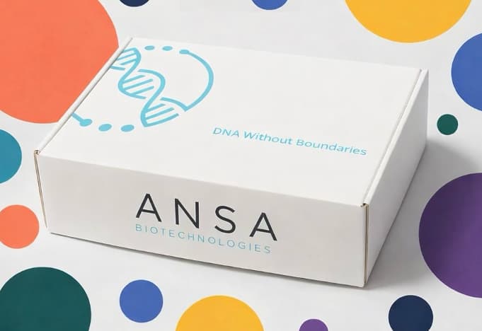 Ansa