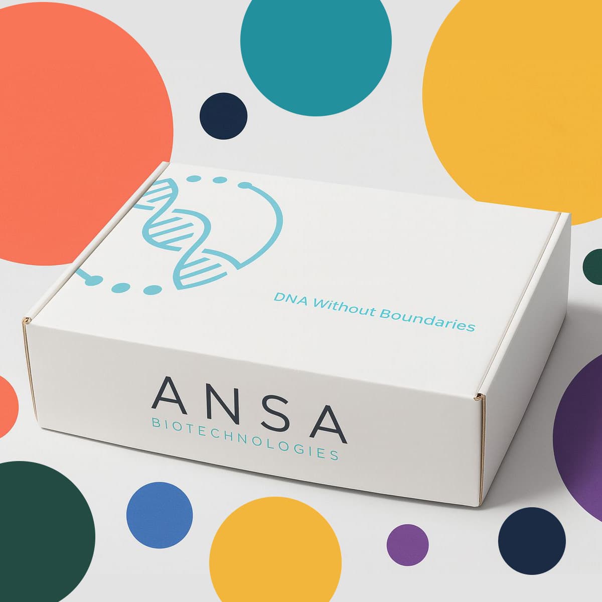 Ansa
