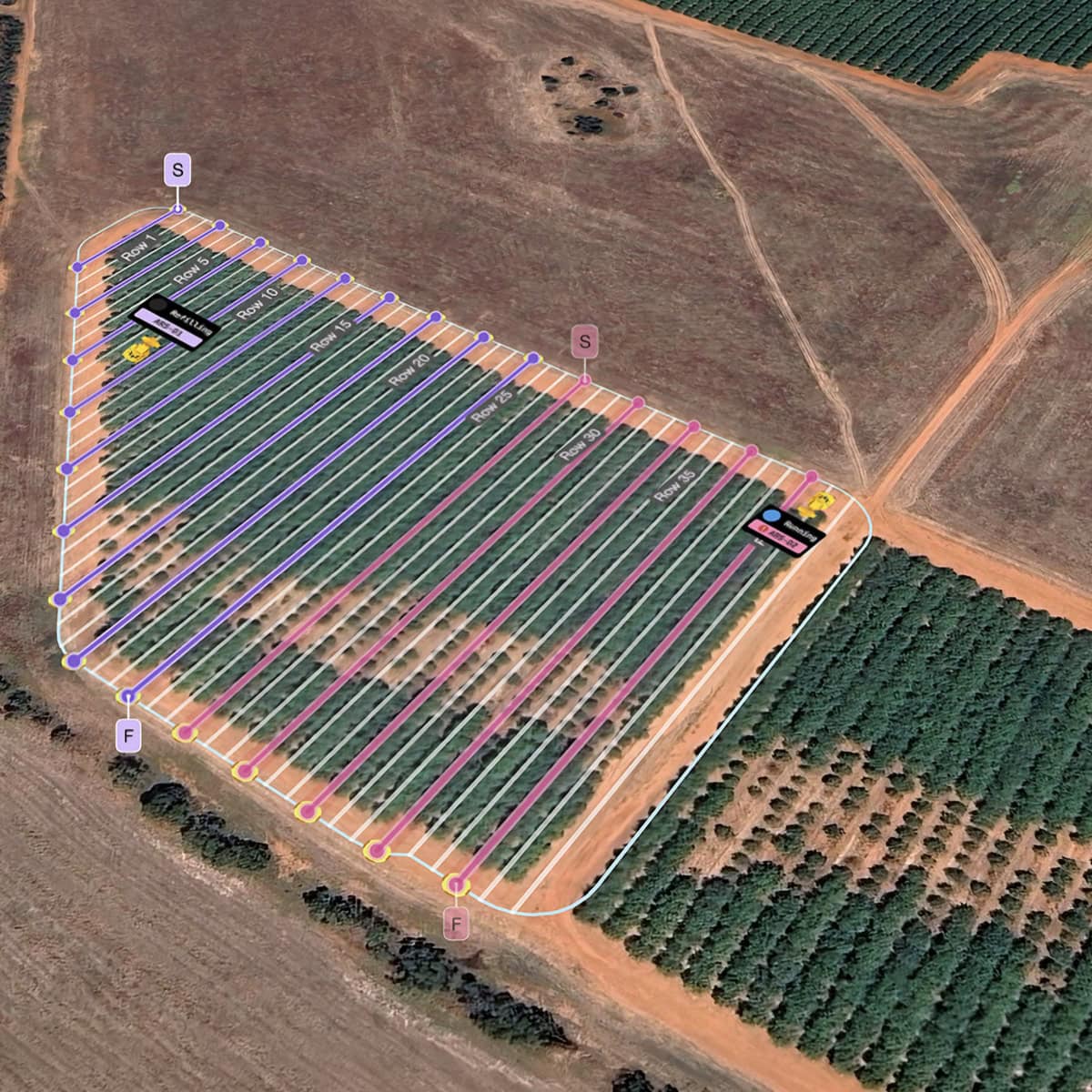 Bonsai