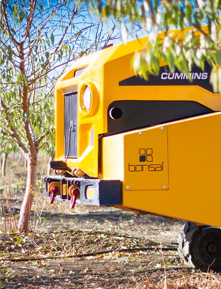 Bonsai vision-based automation