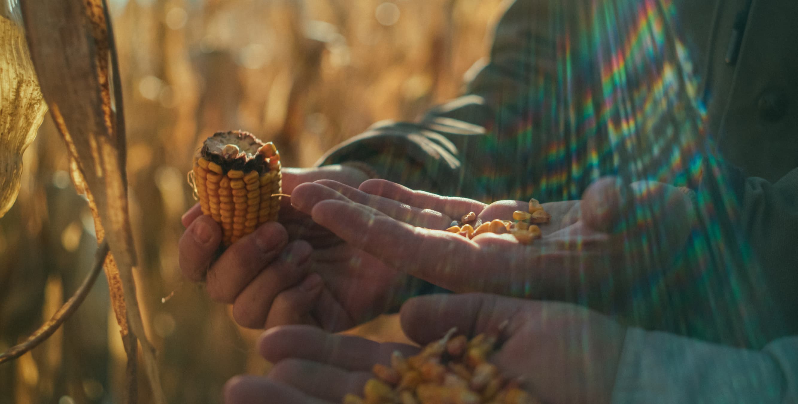 Active farm management