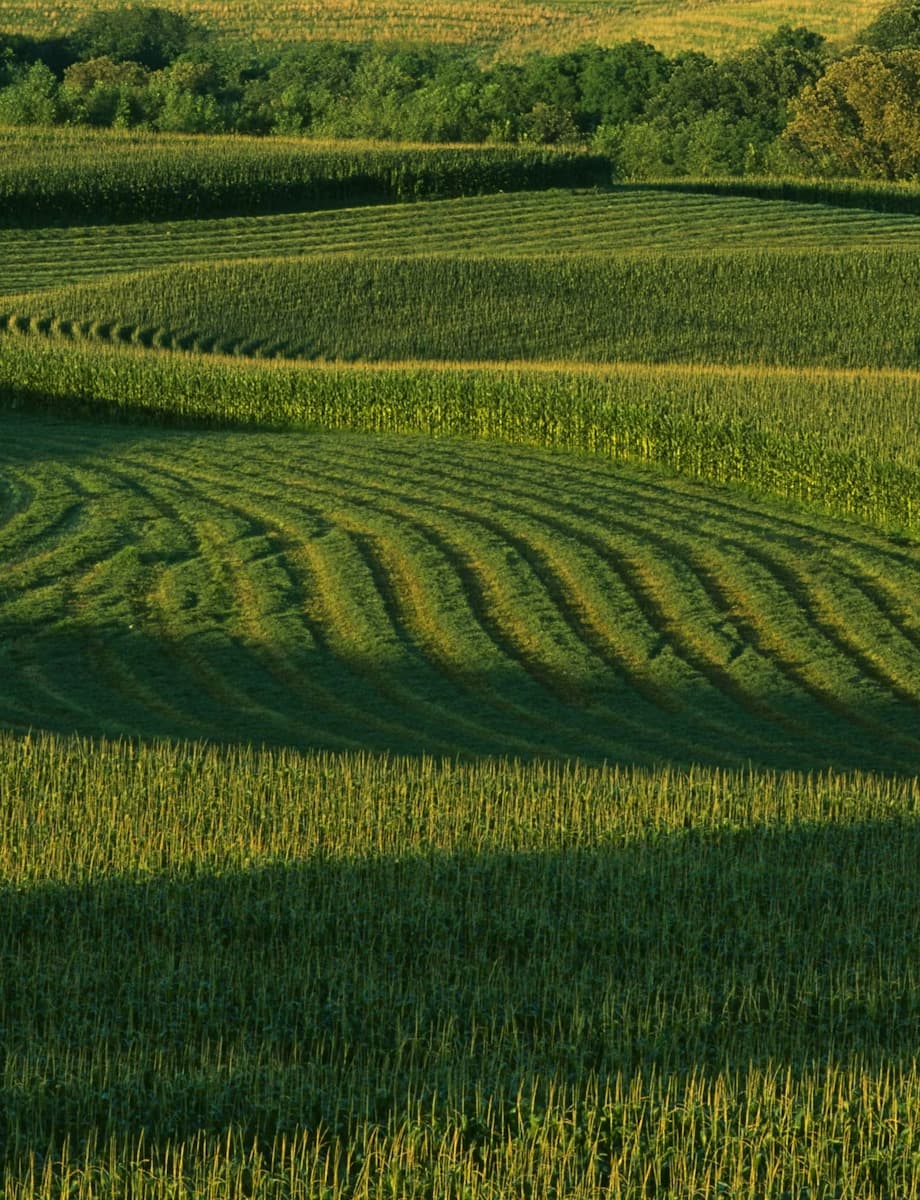 Fall Line Capital | Venture Capital & Real Assets