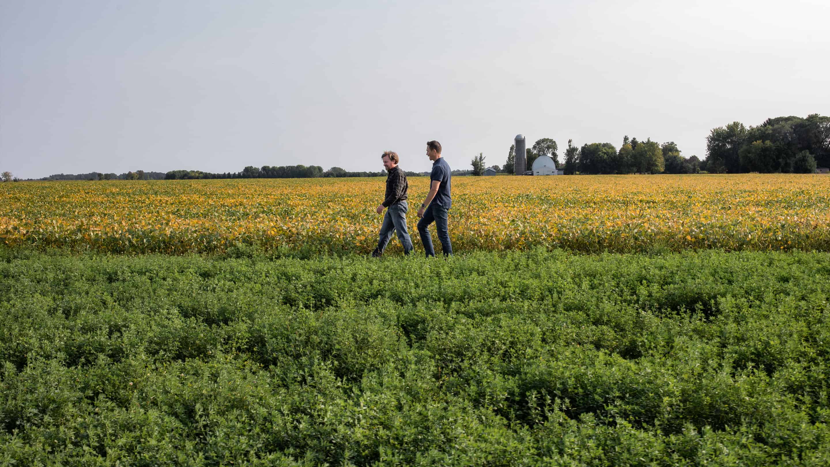 Transforming the landscape: Insights from leaders driving change